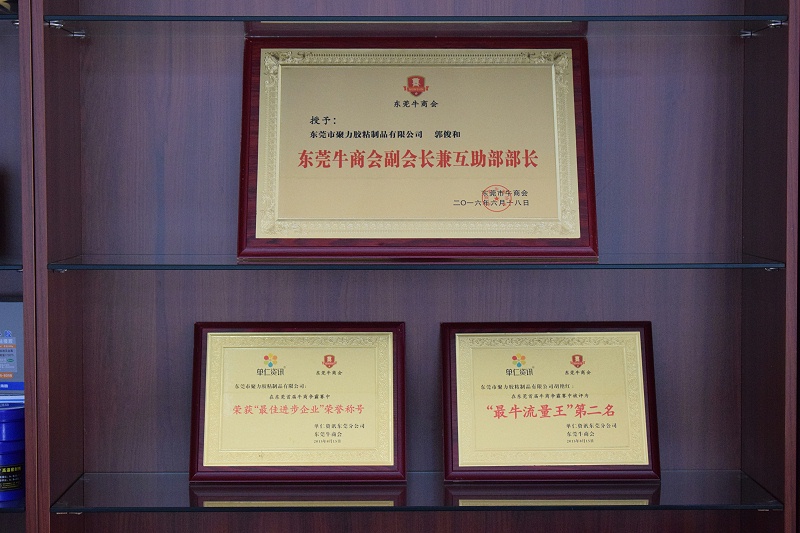 荣誉证书 (1)