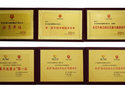 聚力荣誉证书(2)
