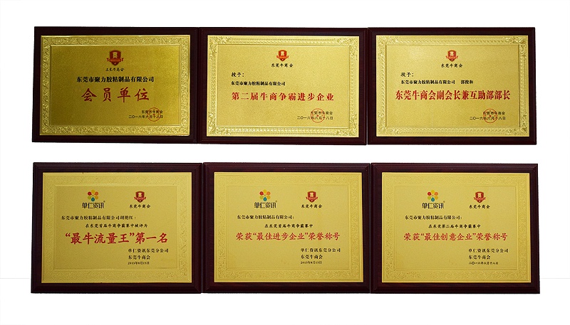 荣誉证书 (2)