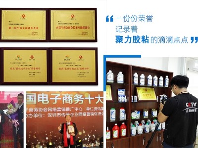 聚力荣誉证书（3）