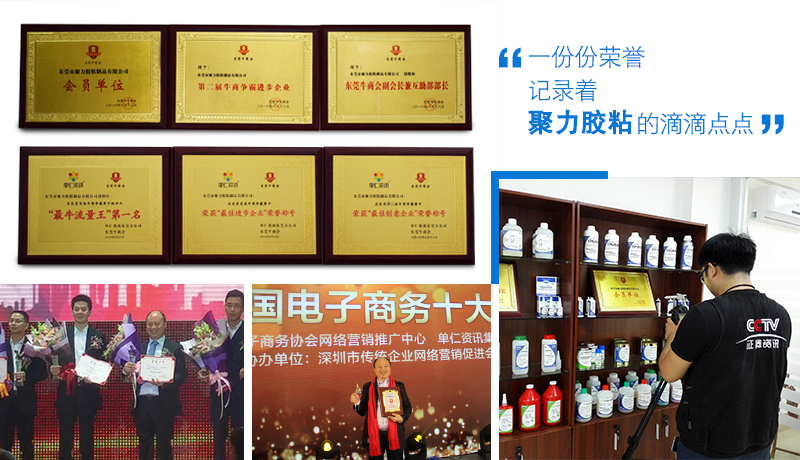 荣誉证书 (3)